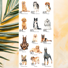 Load image into Gallery viewer, Personalized Dog Planter - Dogs