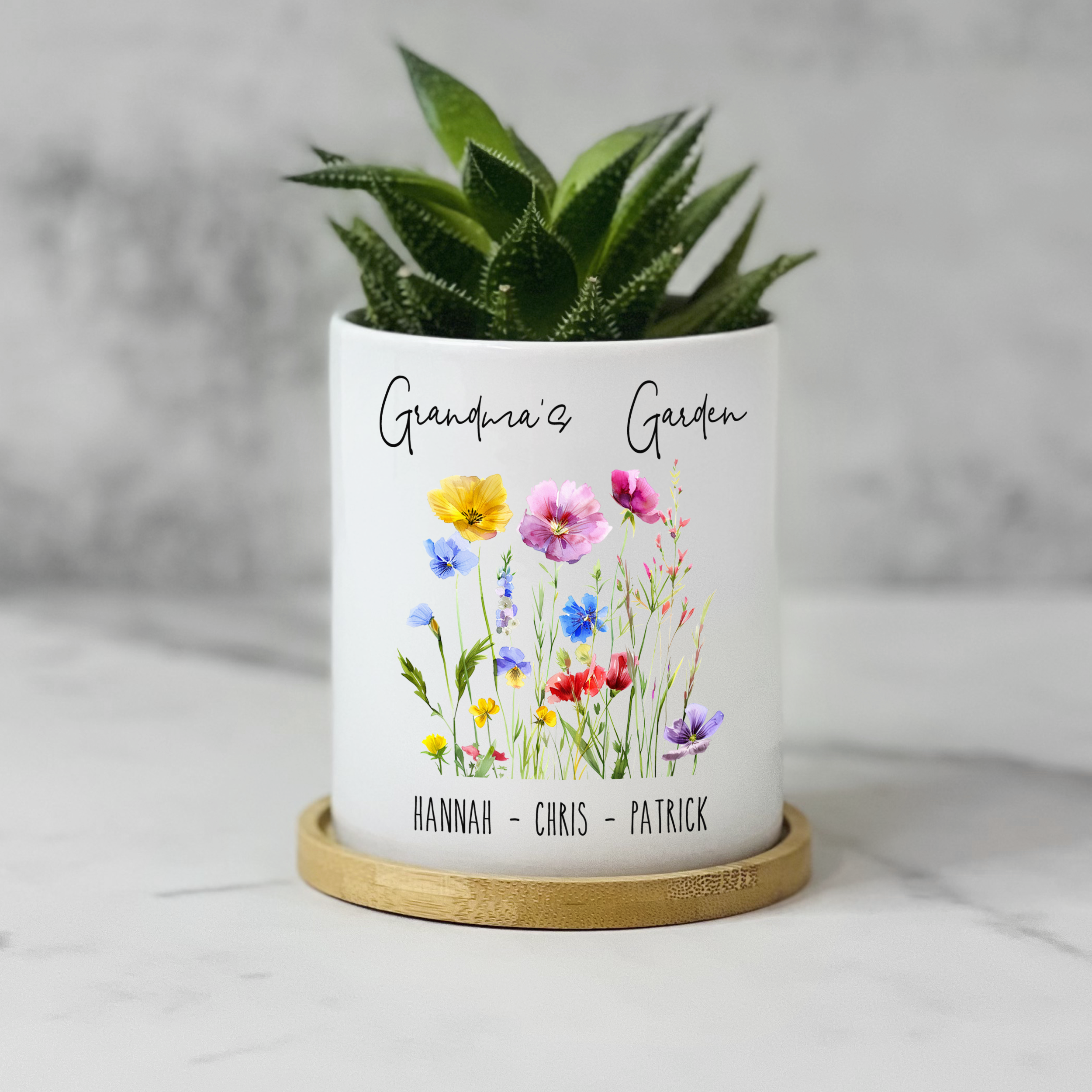 granny plant pot Grandma's Garden