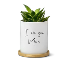 Load image into Gallery viewer, Mom. Grandma, Stepmom Plant Pot for Table Decor - I Love You, We Love You (FS)