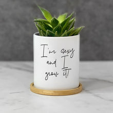 Load image into Gallery viewer, Witty Funny Hilarious Plant Pot for Table Decor - I'm Sexy And I Grow It Planter (FS)