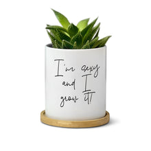 Load image into Gallery viewer, I'm sexy and I Grow It Planter