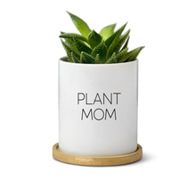 Load image into Gallery viewer, Witty, Funny, Unique Ceramic Plant Pot for Table Decor - Plant Mom (FS)