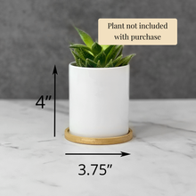 Load image into Gallery viewer, Love Grows Here Planter