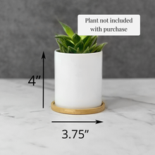 Load image into Gallery viewer, Say Aloe To My Little Friend Planter