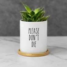 Load image into Gallery viewer, Funny Plant Lovers Plant Pot for Table Decor - Please Don't Die Planter (FS)