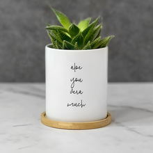 Load image into Gallery viewer, Witty, Funny, Succulent Plant Pot for Table Decor - Aloe You Very Much (FS)