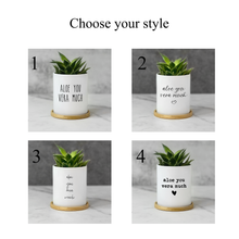 Load image into Gallery viewer, Witty, Funny, Succulent Plant Pot for Table Decor - Aloe You Very Much (FS)
