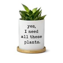 Load image into Gallery viewer, Funny, Witty, Plant Lovers, Gardener Plant Pot for Table Decor-Yes, I Need All These Plants (FS)