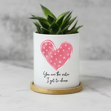 Load image into Gallery viewer, Best Friend, Plant Lover, Ceramic Succulent Pot for Table Decor - You Are The Sister I Get To Choose