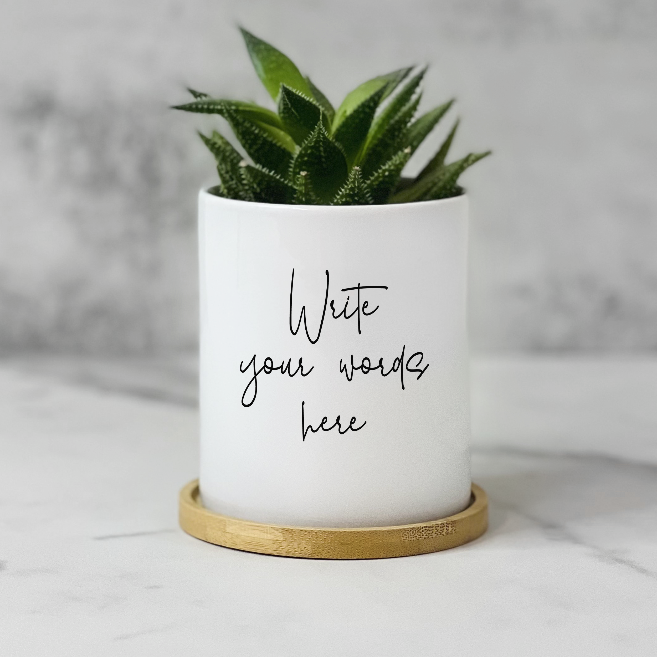 personalized plant pots Personalized planter – Pine and Pineapple