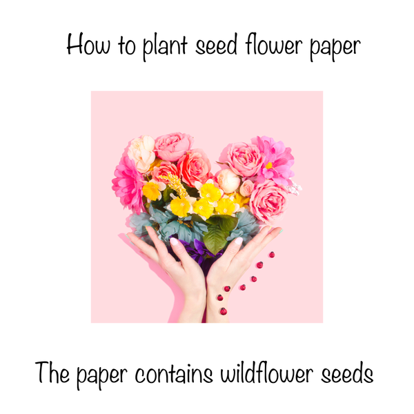 How to plant seed paper