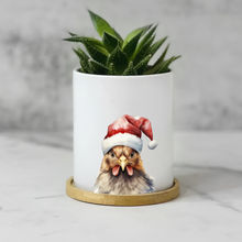 Load image into Gallery viewer, Chicken Christmas Male Planter
