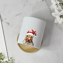 Load image into Gallery viewer, Chicken Christmas Male Planter
