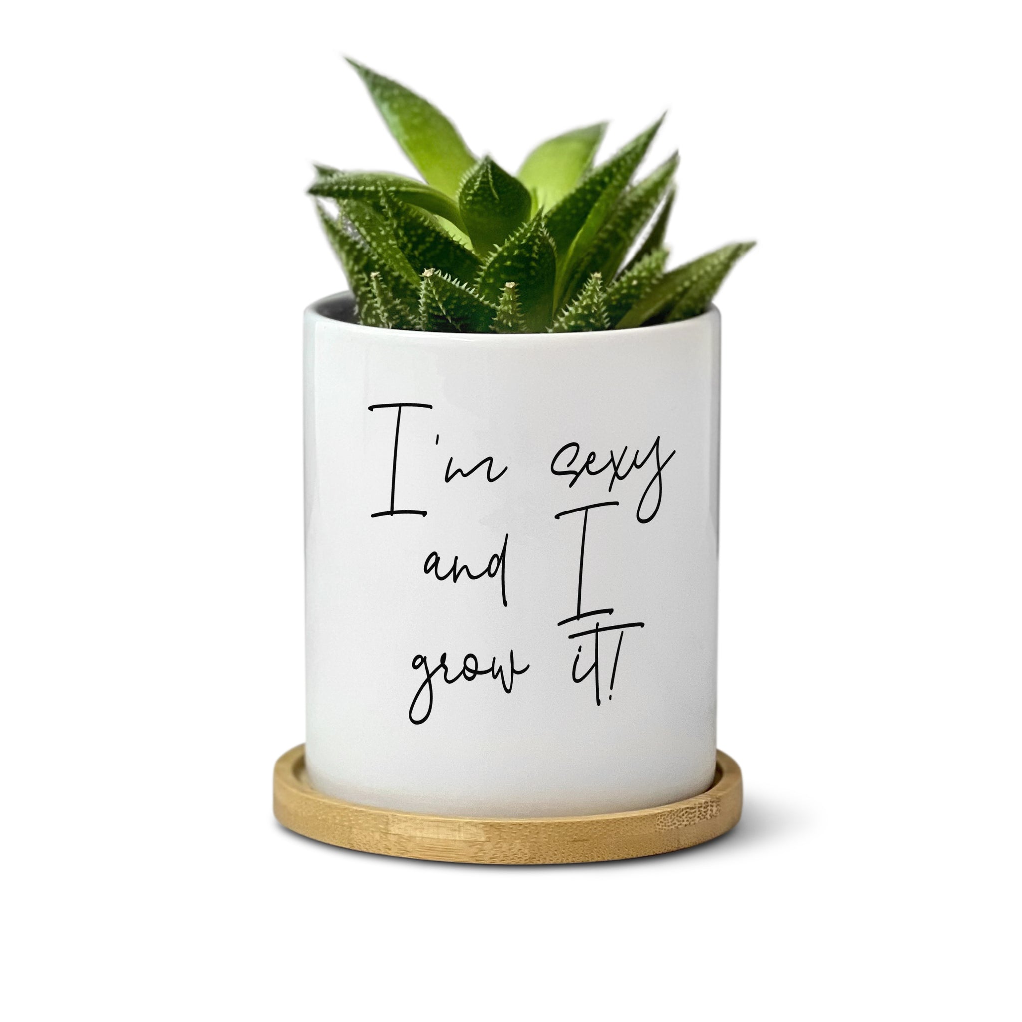 Witty Funny Hilarious Plant Pot for Table Decor