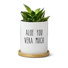 Load image into Gallery viewer, Aloe You Very Much Planter
