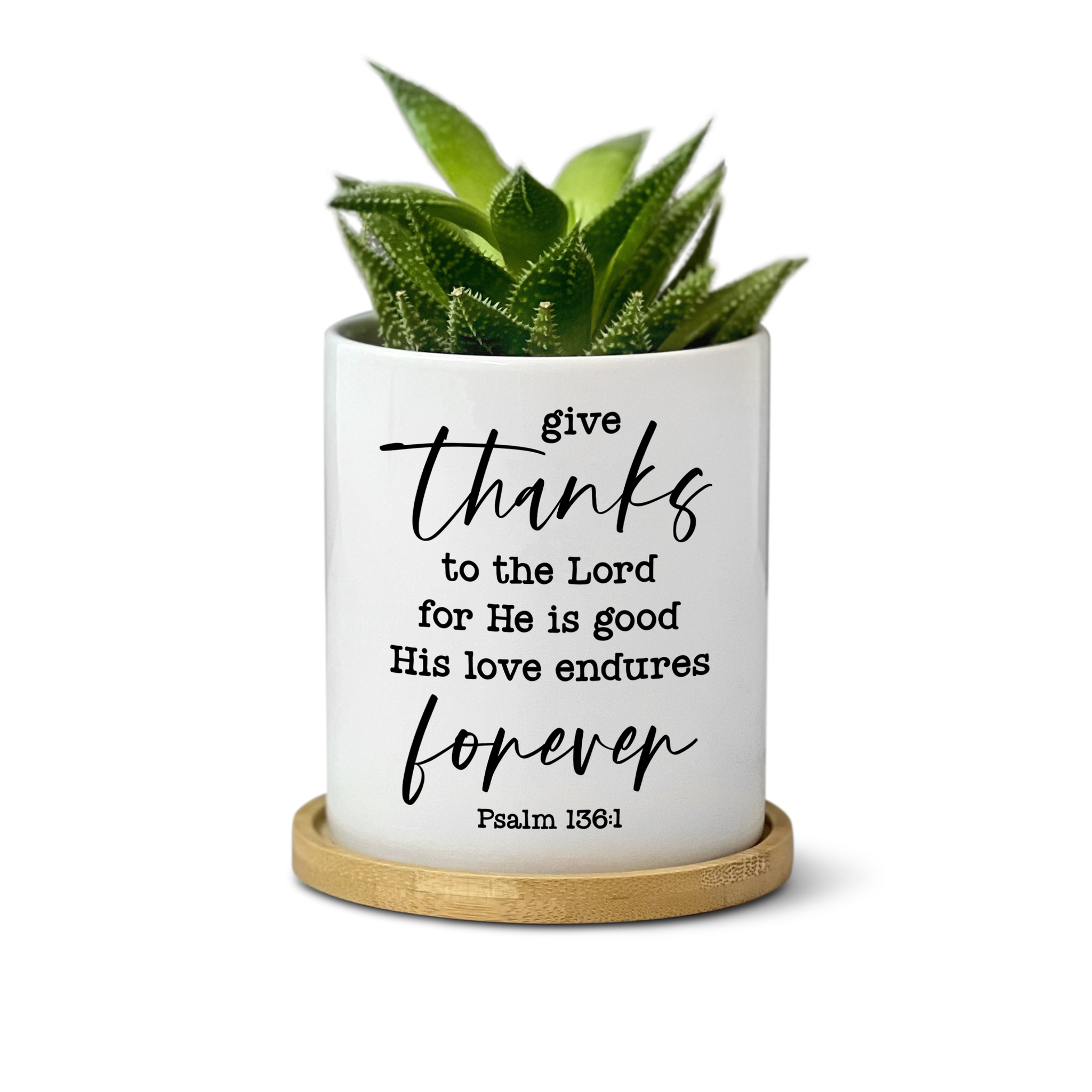 succulent bible verse Christian Bible Verse Plant Pot for Table Decor