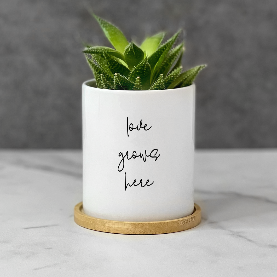 Love Grows Here Planter