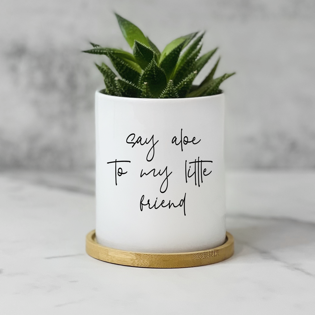 Say Aloe To My Little Friend Planter