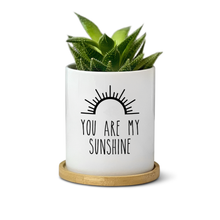 Load image into Gallery viewer, You Are My Sunshine Planter
